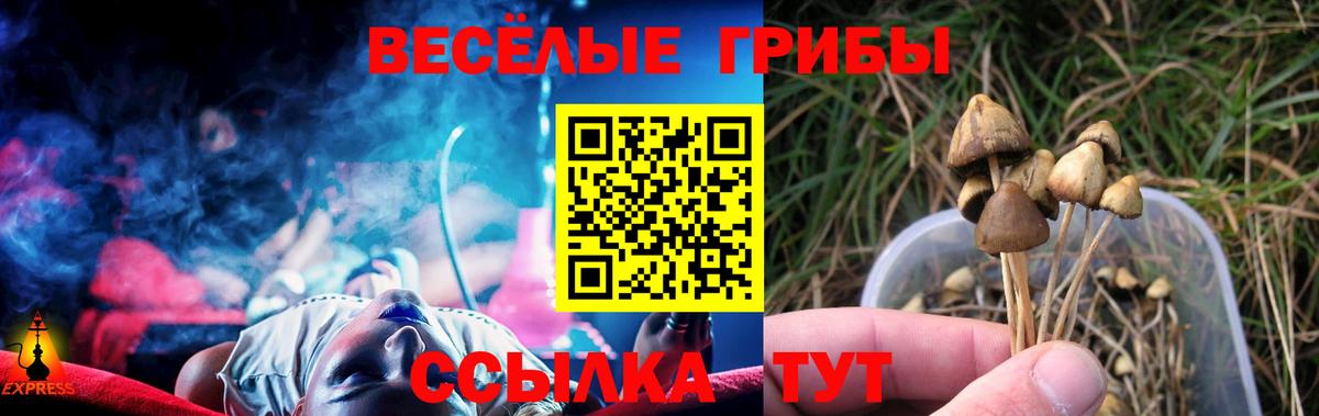 Псилоцибиновые грибы мухоморы  Вход с VPN  Трёхгорный 